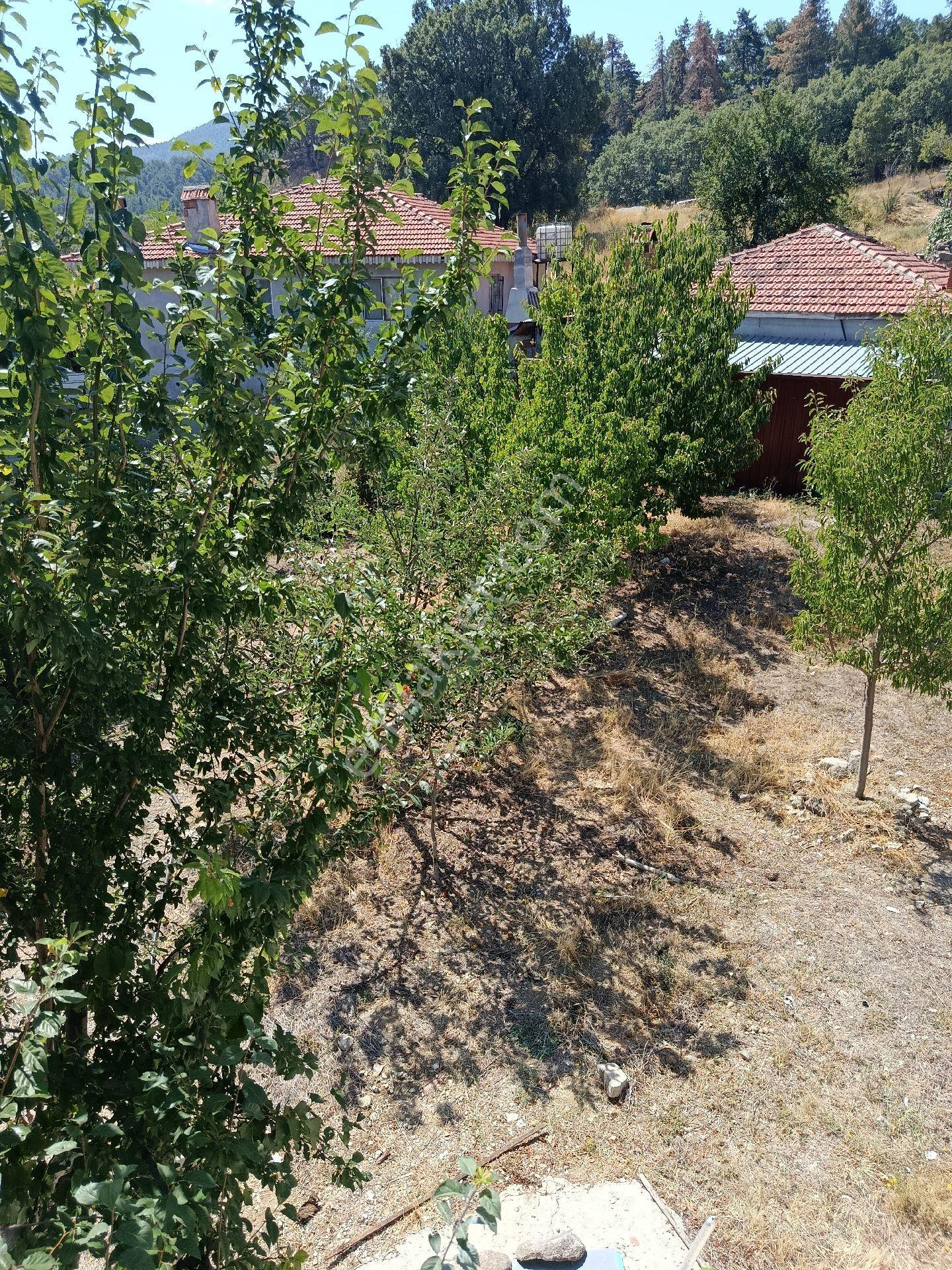 Denizli Acıpayam Yeşilyuva Satılık Bahçeli Ev - Görsel 16