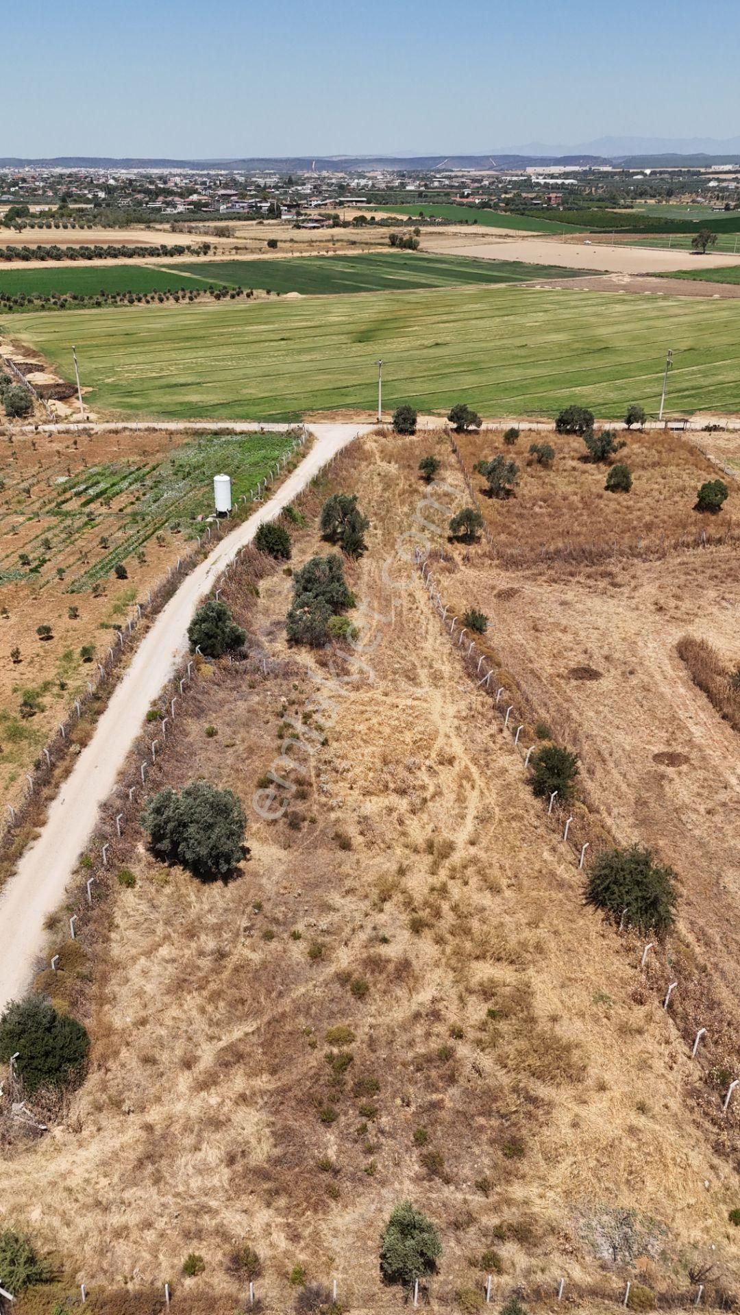 İzmir Oğlananasında Satılık 1.770 M2 Asfalt Cepheli Etrafı Çevrili Bahçe - Görsel 18