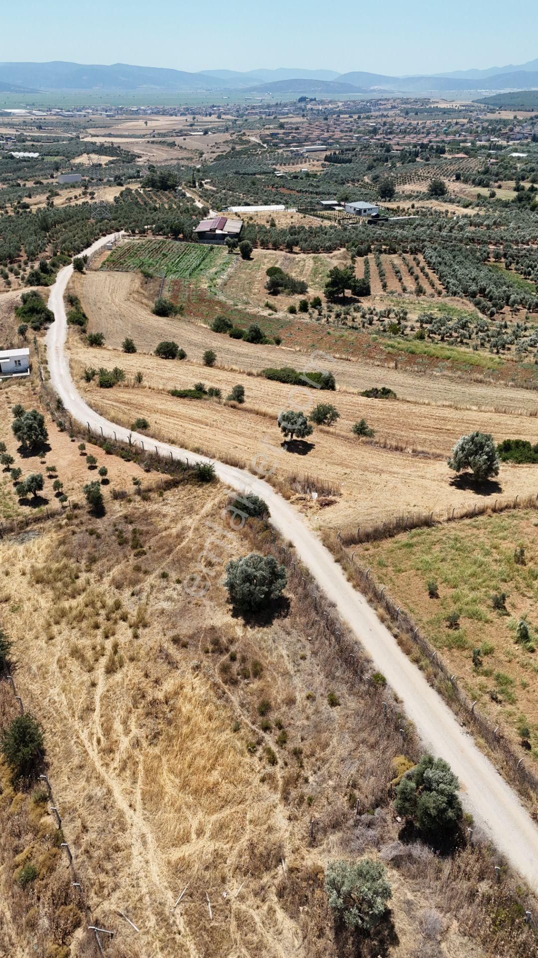 İzmir Oğlananasında Satılık 1.770 M2 Asfalt Cepheli Etrafı Çevrili Bahçe - Görsel 17