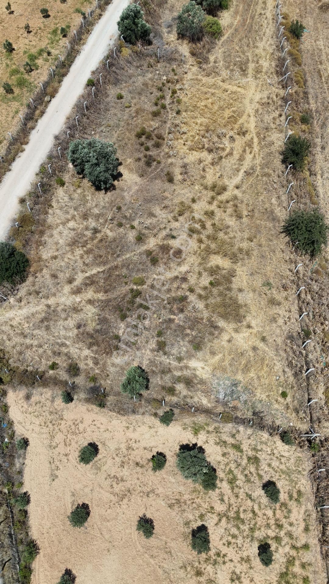 İzmir Oğlananasında Satılık 1.770 M2 Asfalt Cepheli Etrafı Çevrili Bahçe - Görsel 23
