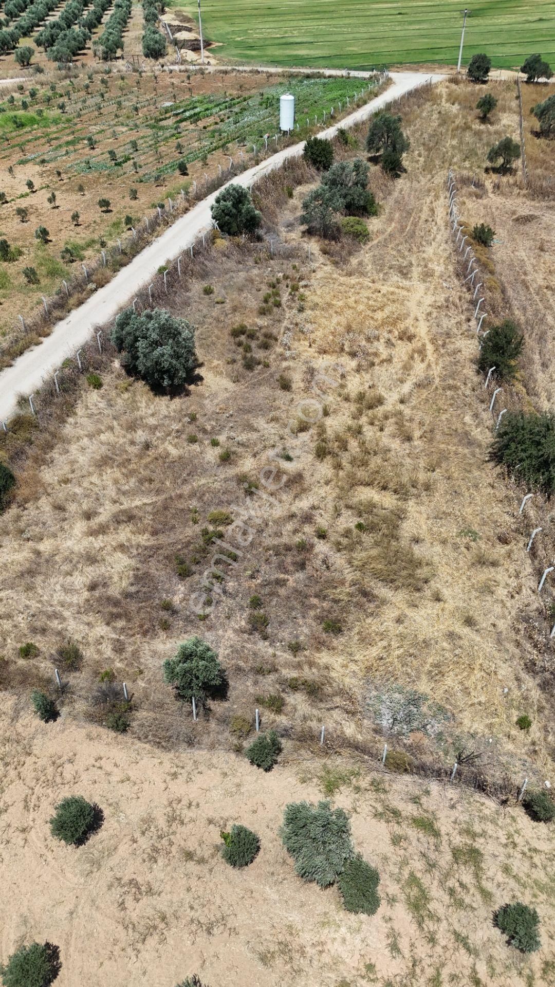 İzmir Oğlananasında Satılık 1.770 M2 Asfalt Cepheli Etrafı Çevrili Bahçe - Görsel 22