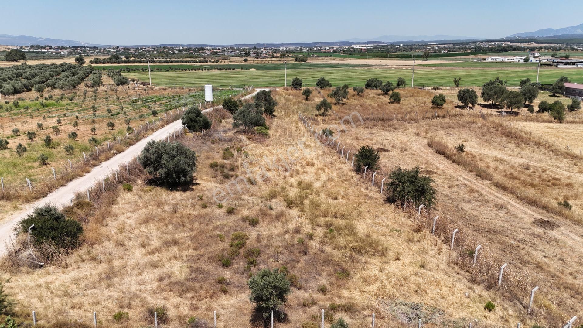 İzmir Oğlananasında Satılık 1.770 M2 Asfalt Cepheli Etrafı Çevrili Bahçe - Görsel 7