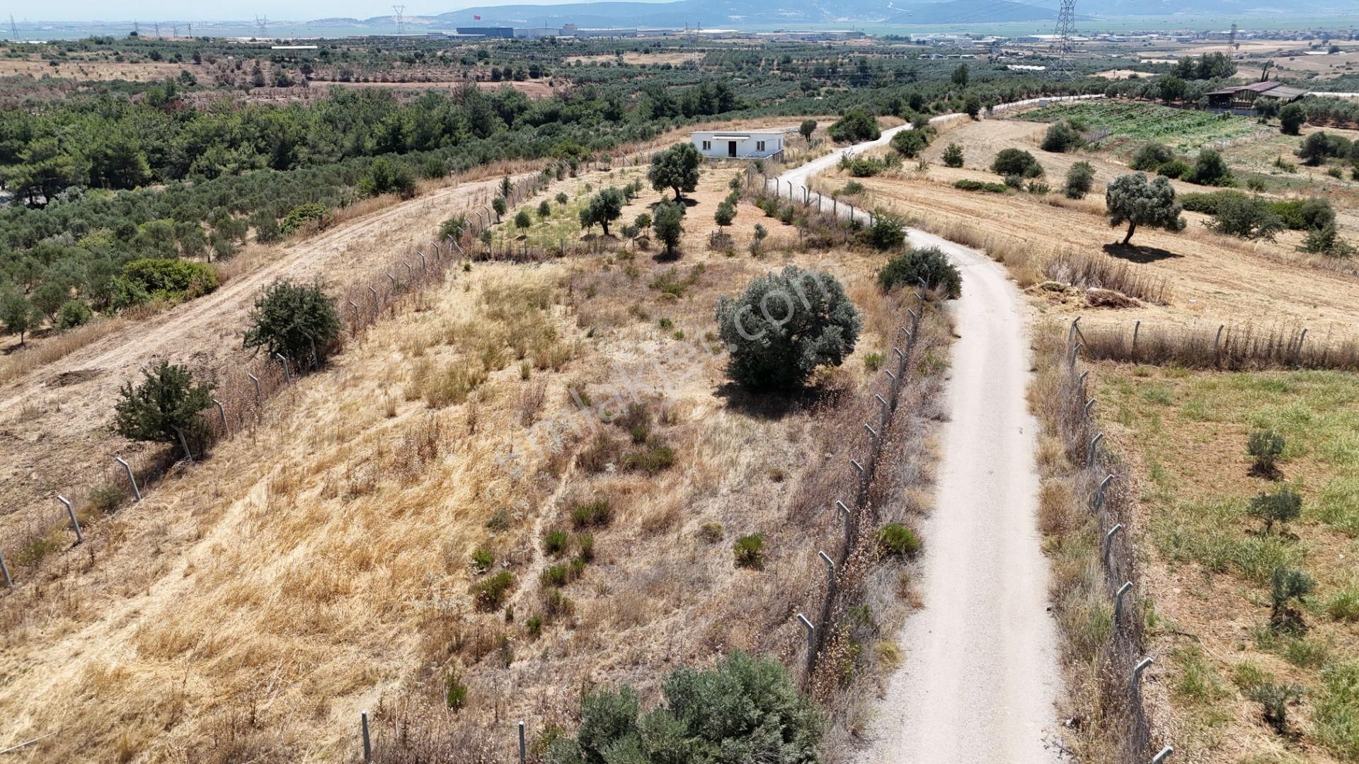 İzmir Oğlananasında Satılık 1.770 M2 Asfalt Cepheli Etrafı Çevrili Bahçe - Görsel 11