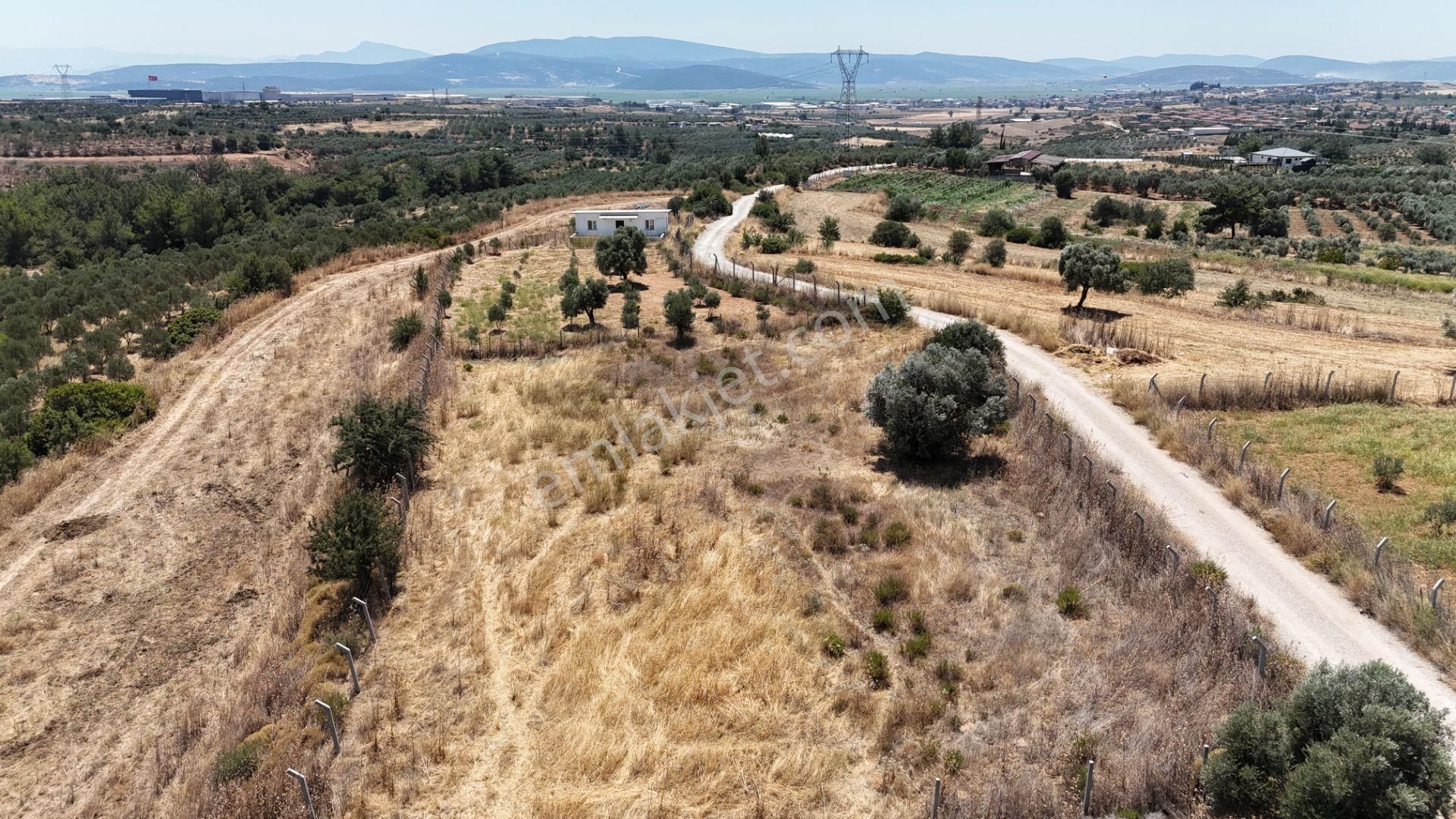 İzmir Oğlananasında Satılık 1.770 M2 Asfalt Cepheli Etrafı Çevrili Bahçe - Görsel 9