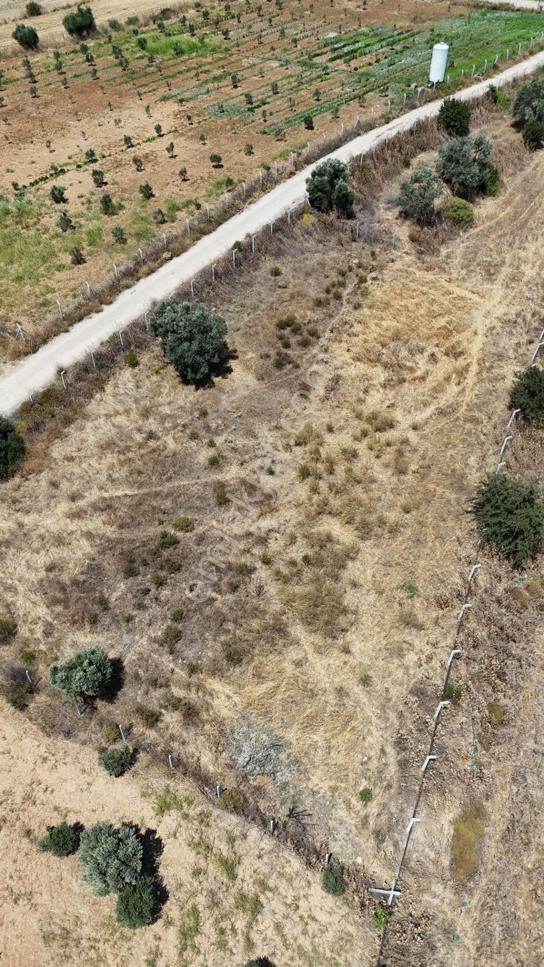 İzmir Oğlananasında Satılık 1.770 M2 Asfalt Cepheli Etrafı Çevrili Bahçe - Görsel 24
