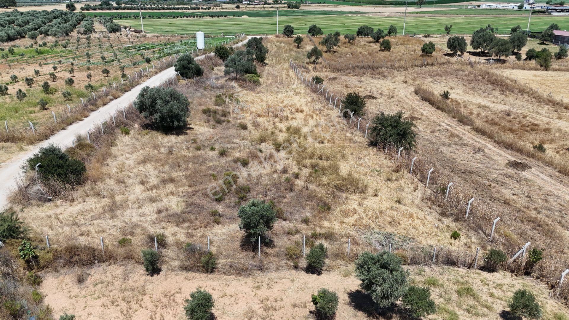 İzmir Oğlananasında Satılık 1.770 M2 Asfalt Cepheli Etrafı Çevrili Bahçe - Görsel 6