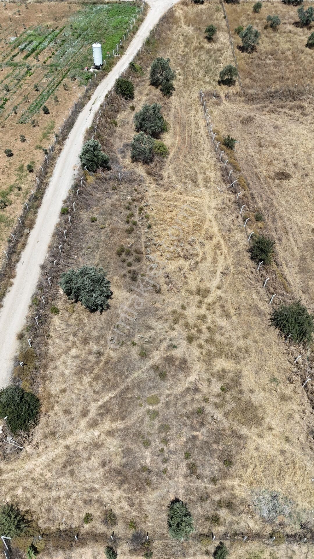 İzmir Oğlananasında Satılık 1.770 M2 Asfalt Cepheli Etrafı Çevrili Bahçe - Görsel 20