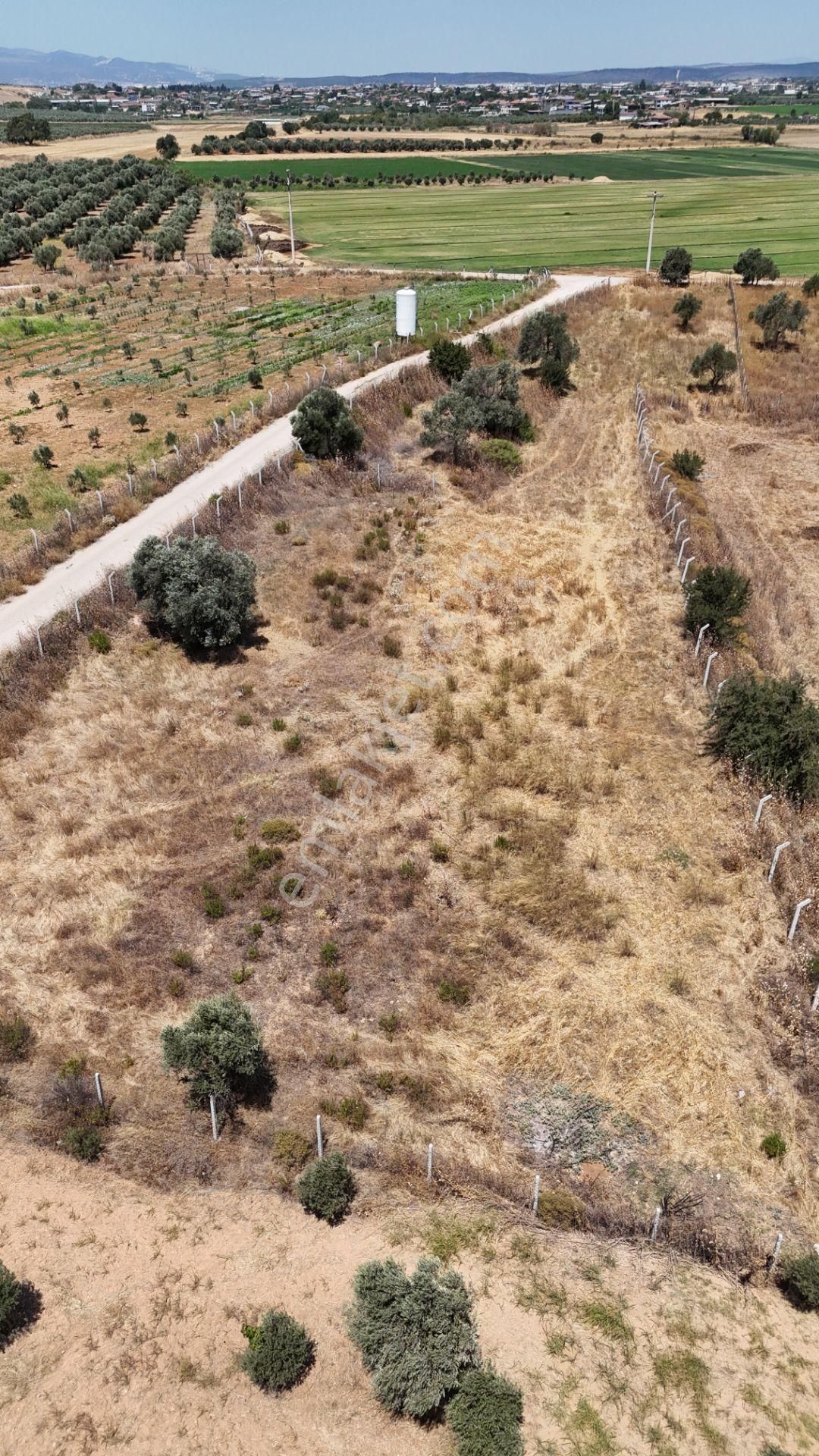 İzmir Oğlananasında Satılık 1.770 M2 Asfalt Cepheli Etrafı Çevrili Bahçe - Görsel 21