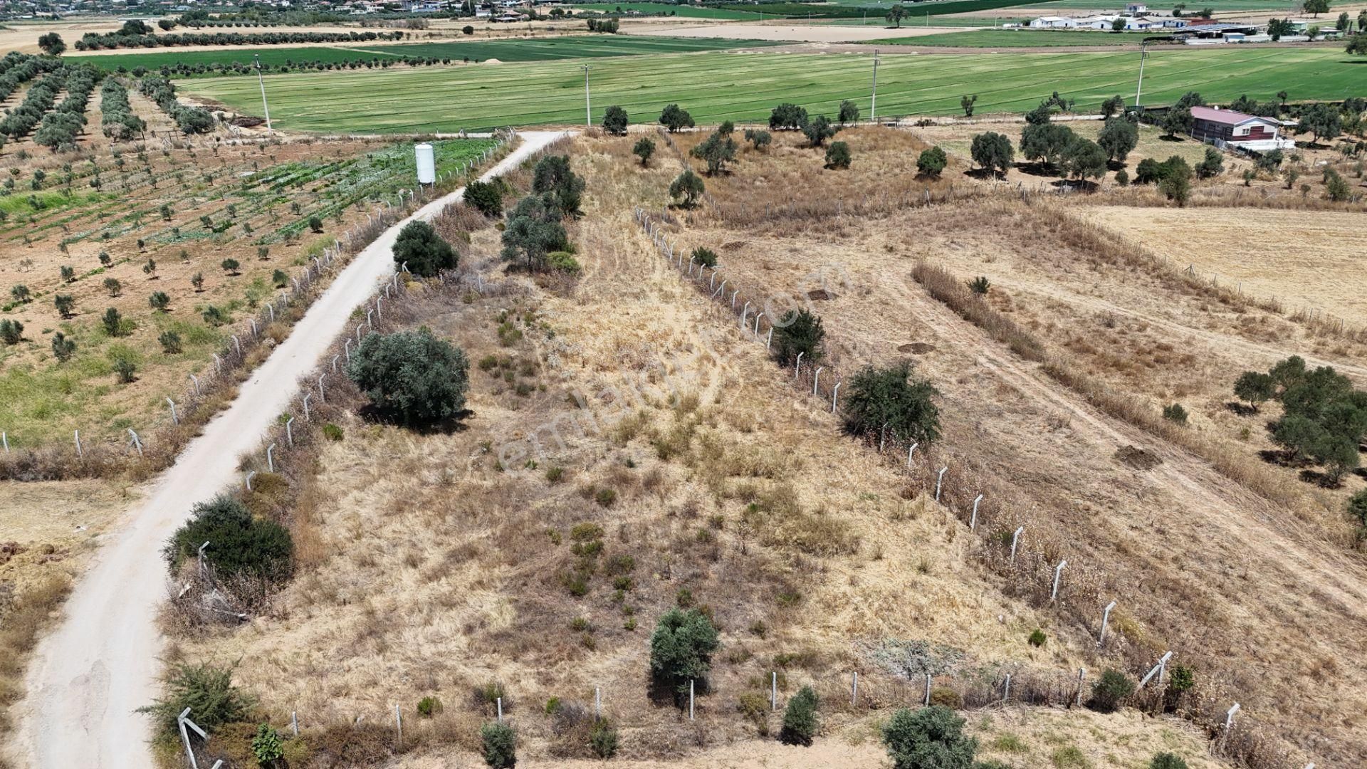 İzmir Oğlananasında Satılık 1.770 M2 Asfalt Cepheli Etrafı Çevrili Bahçe