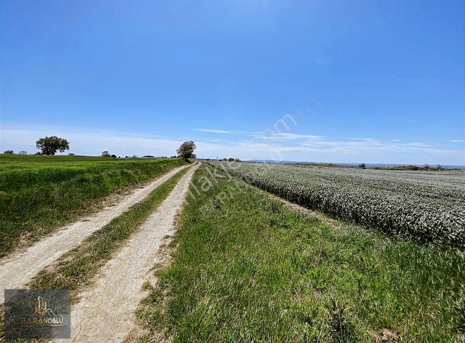 Silivri Çayırdere'de 7612 Tek Tapu Tarla - Görsel 4