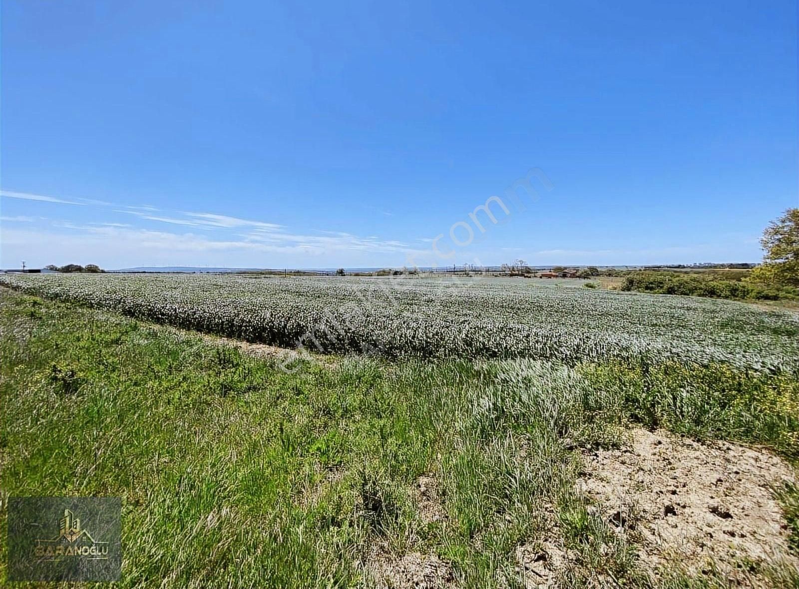 Silivri Çayırdere'de 7612 Tek Tapu Tarla - Görsel 2