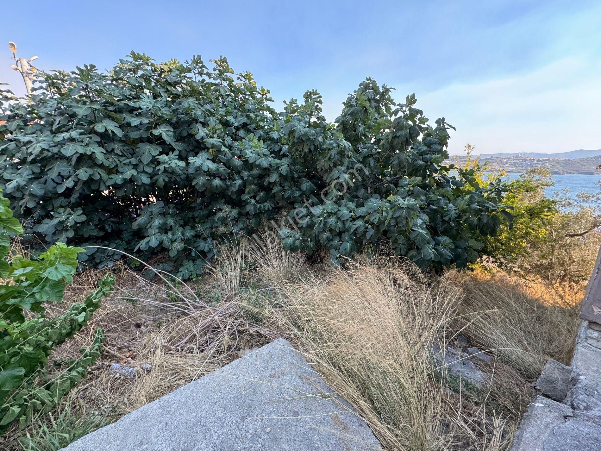 Gemlik Manastır Da Deniz Manzaralı Satılık Müstakil Ev - Görsel 26