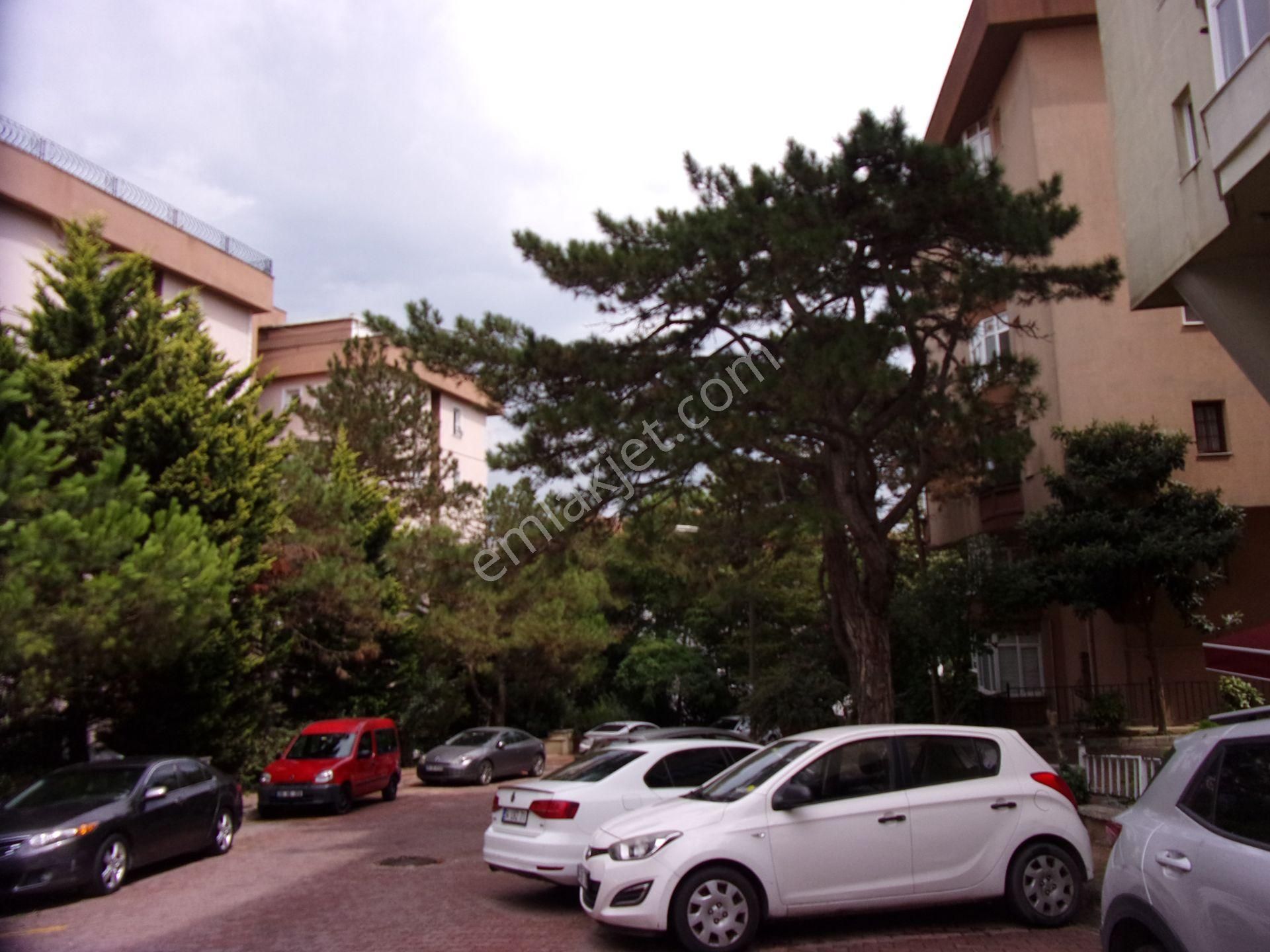 Tarabya Sanatçılarda 2+1 100 Metrekare Kiralık Daire - Görsel 29