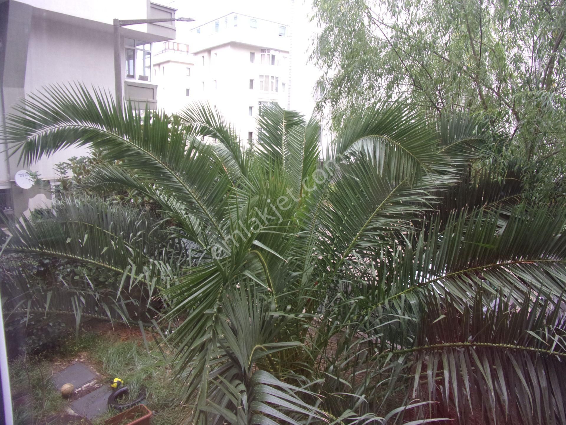 Tarabya Sanatçılarda 2+1 100 Metrekare Kiralık Daire - Görsel 15