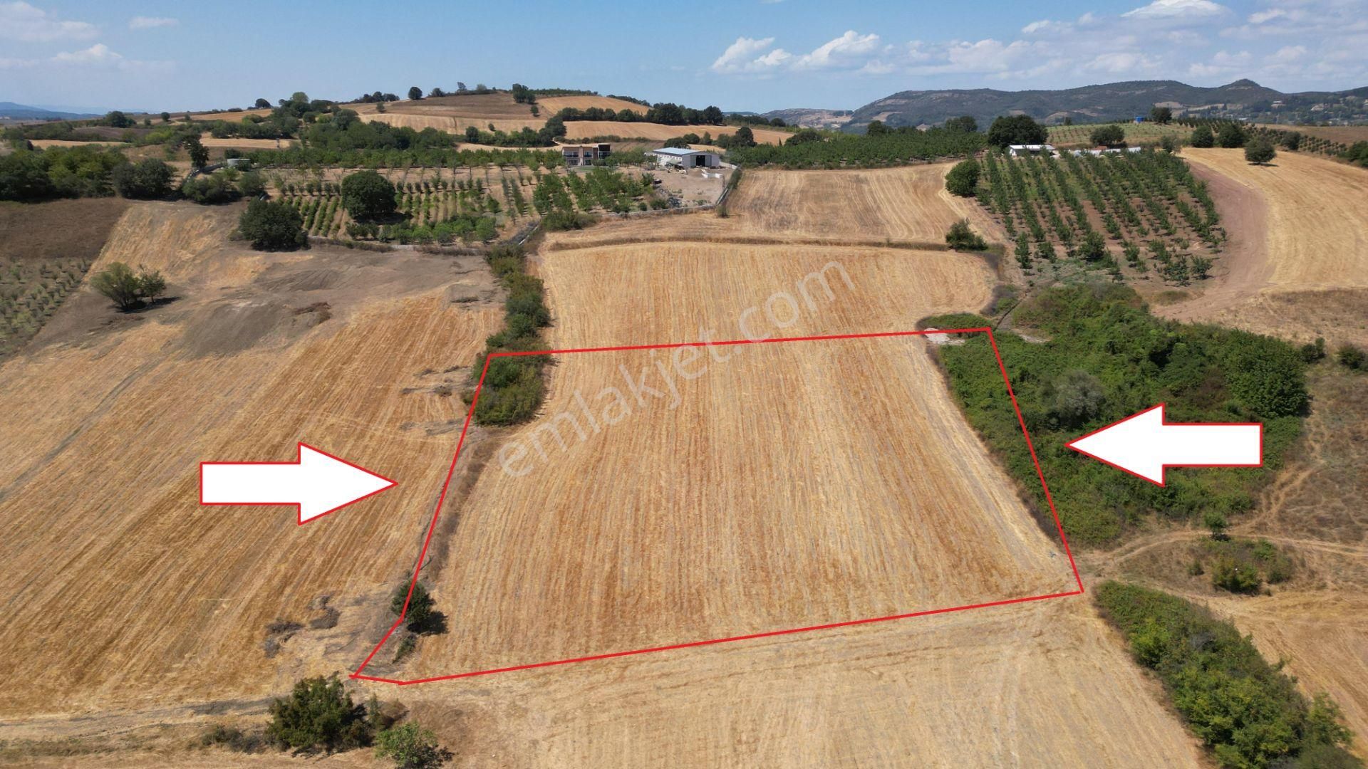Kocaeli Karamürsel Avcıköy 9213 M² Yatırımlık Satılık Tarla