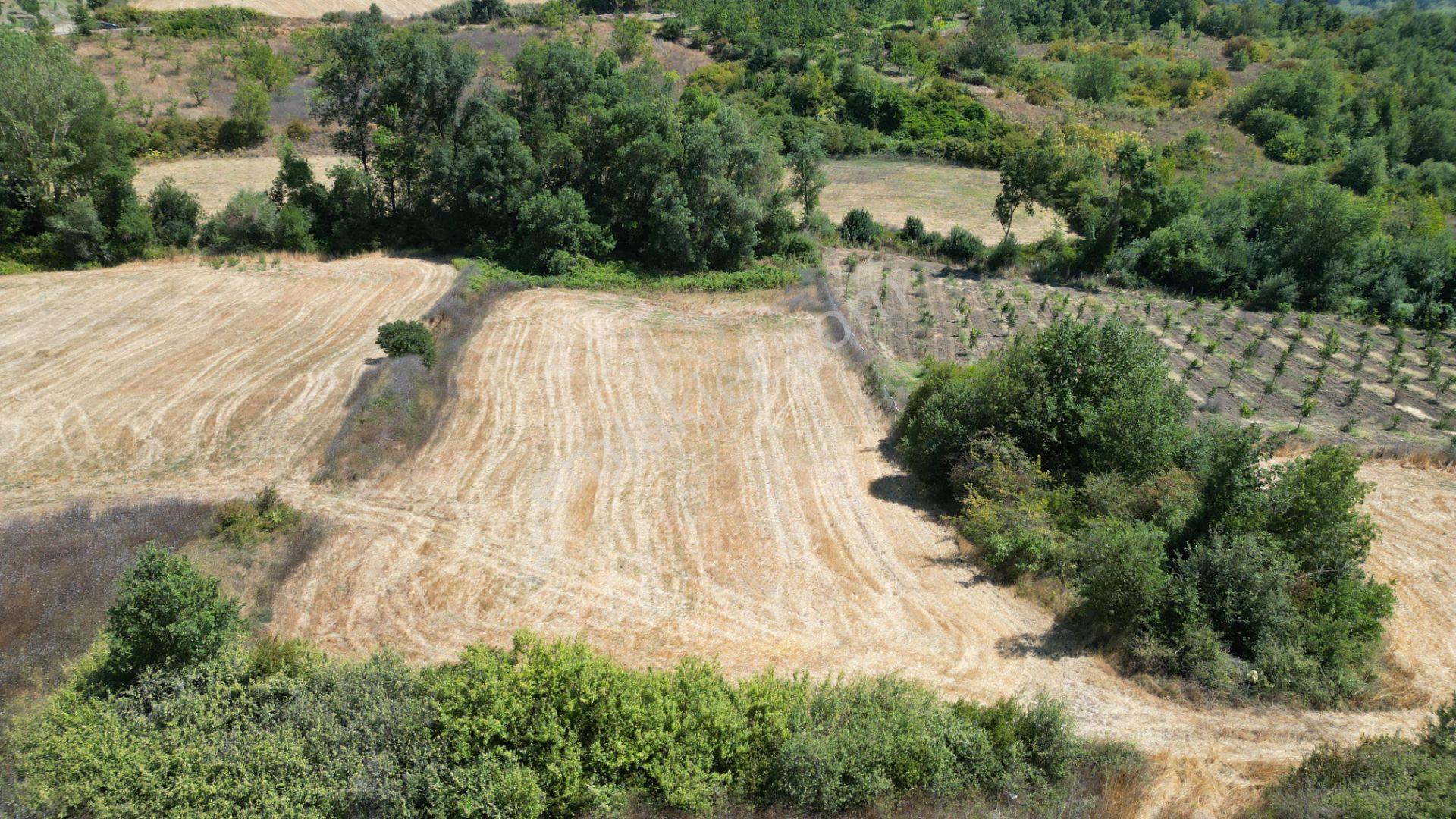 Kocaeli Karamürsel Yalakdere 5774 M2 Satılık Tarla - Görsel 5