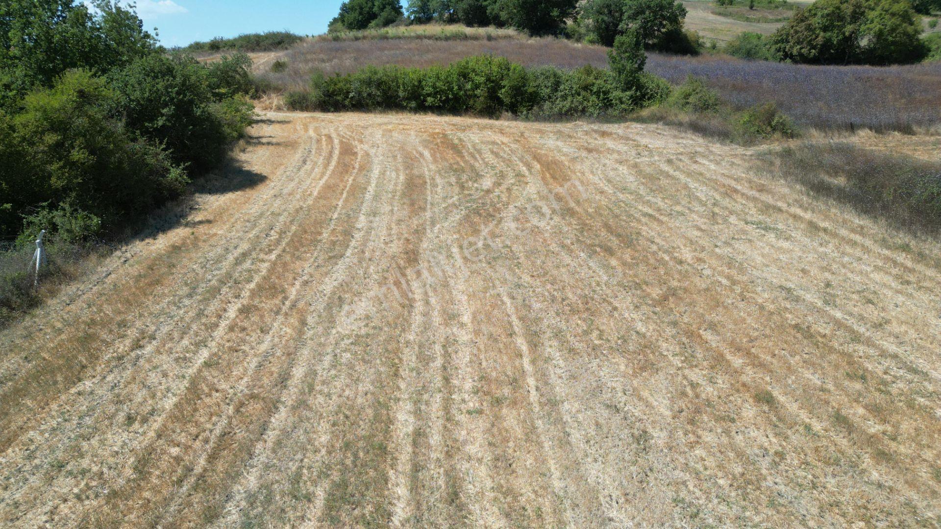 Kocaeli Karamürsel Yalakdere 5774 M2 Satılık Tarla - Görsel 8
