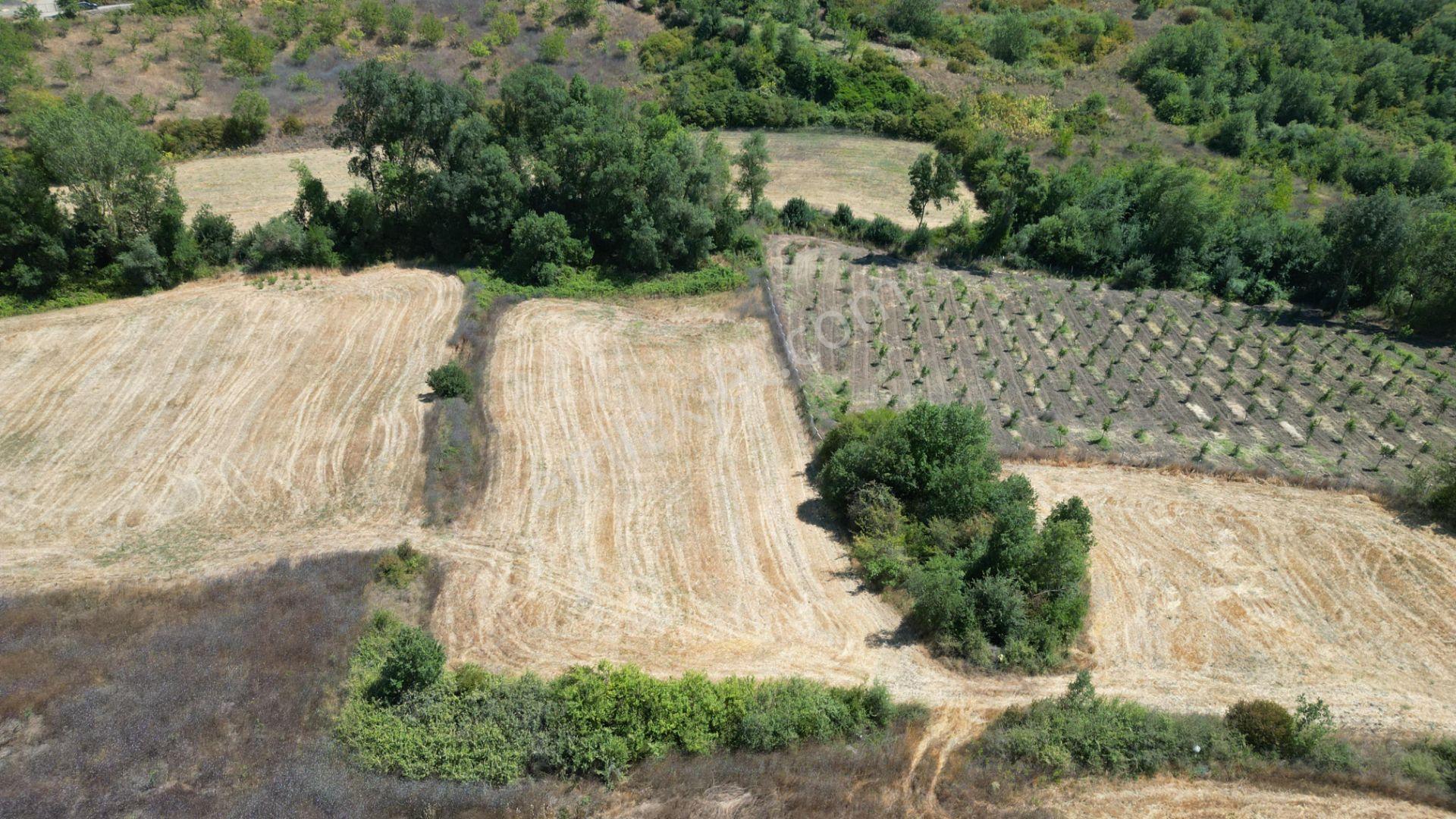 Kocaeli Karamürsel Yalakdere 5774 M2 Satılık Tarla - Görsel 4