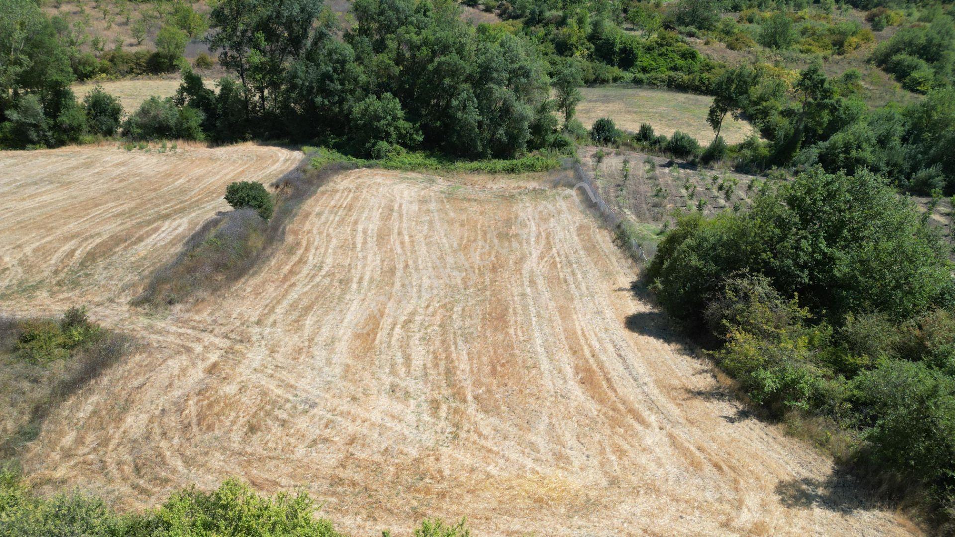 Kocaeli Karamürsel Yalakdere 5774 M2 Satılık Tarla - Görsel 6