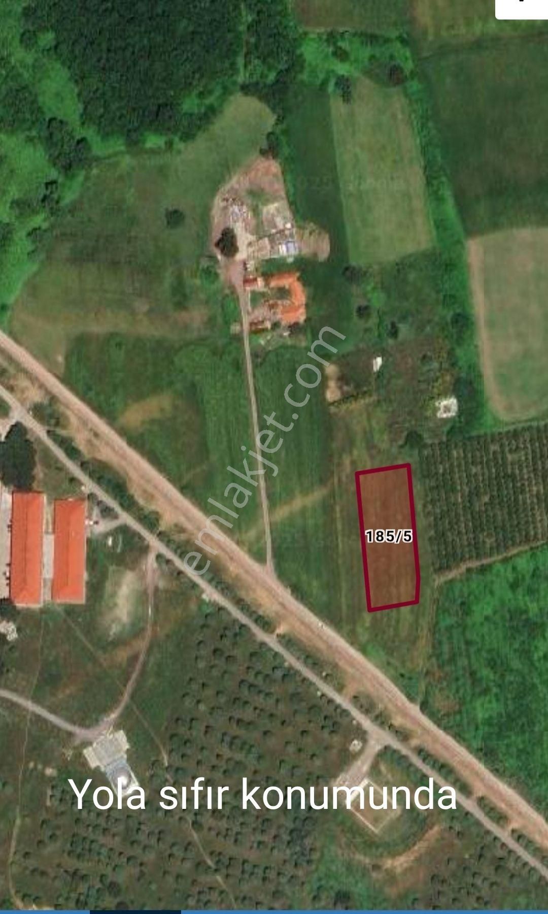 Yalova Çiftliköy Taşköprüde Satılık Arsa - Görsel 4