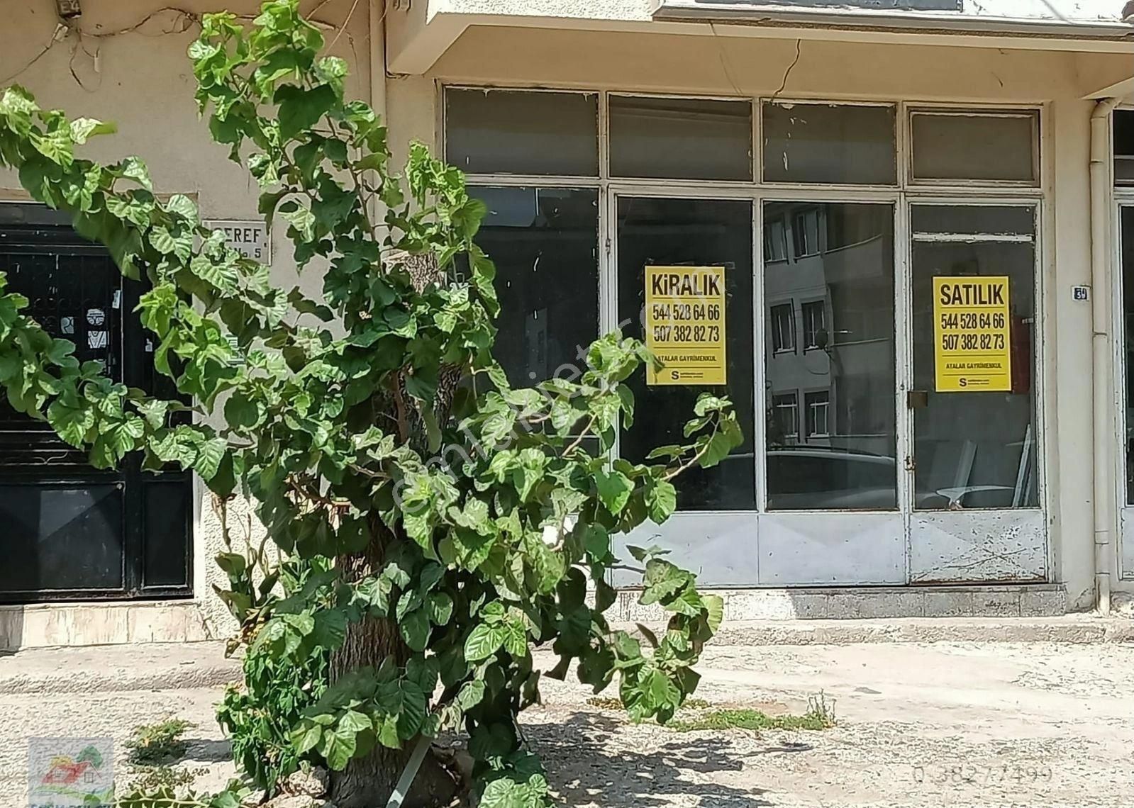 Körfez Yarımca Kültür Merkezi Karşısı 65 M2 Satılık Dükkan