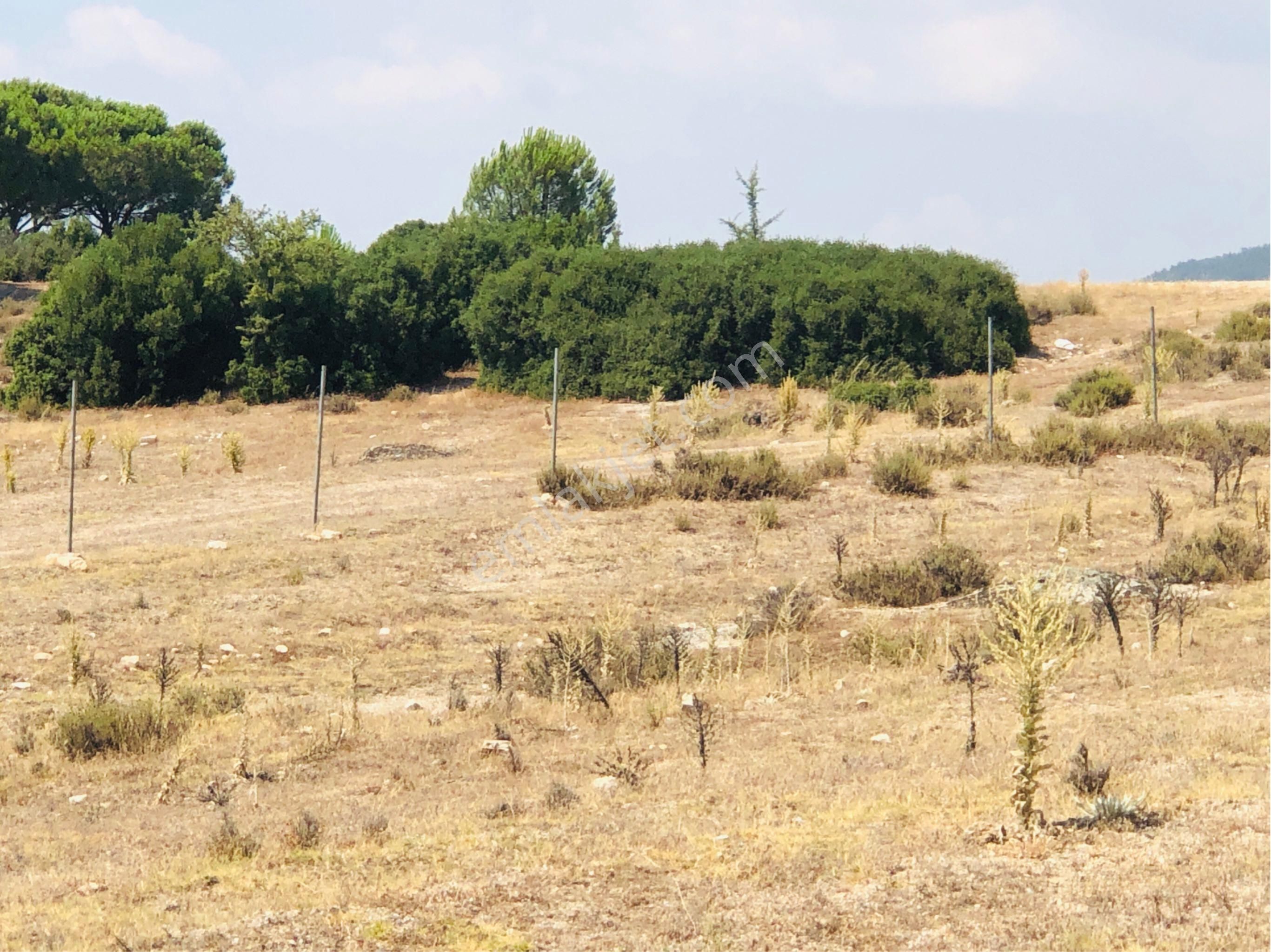Muğla Milas Akkovanlık'da 9.108 M² Kaçmaz Kupon Tarla !!!!