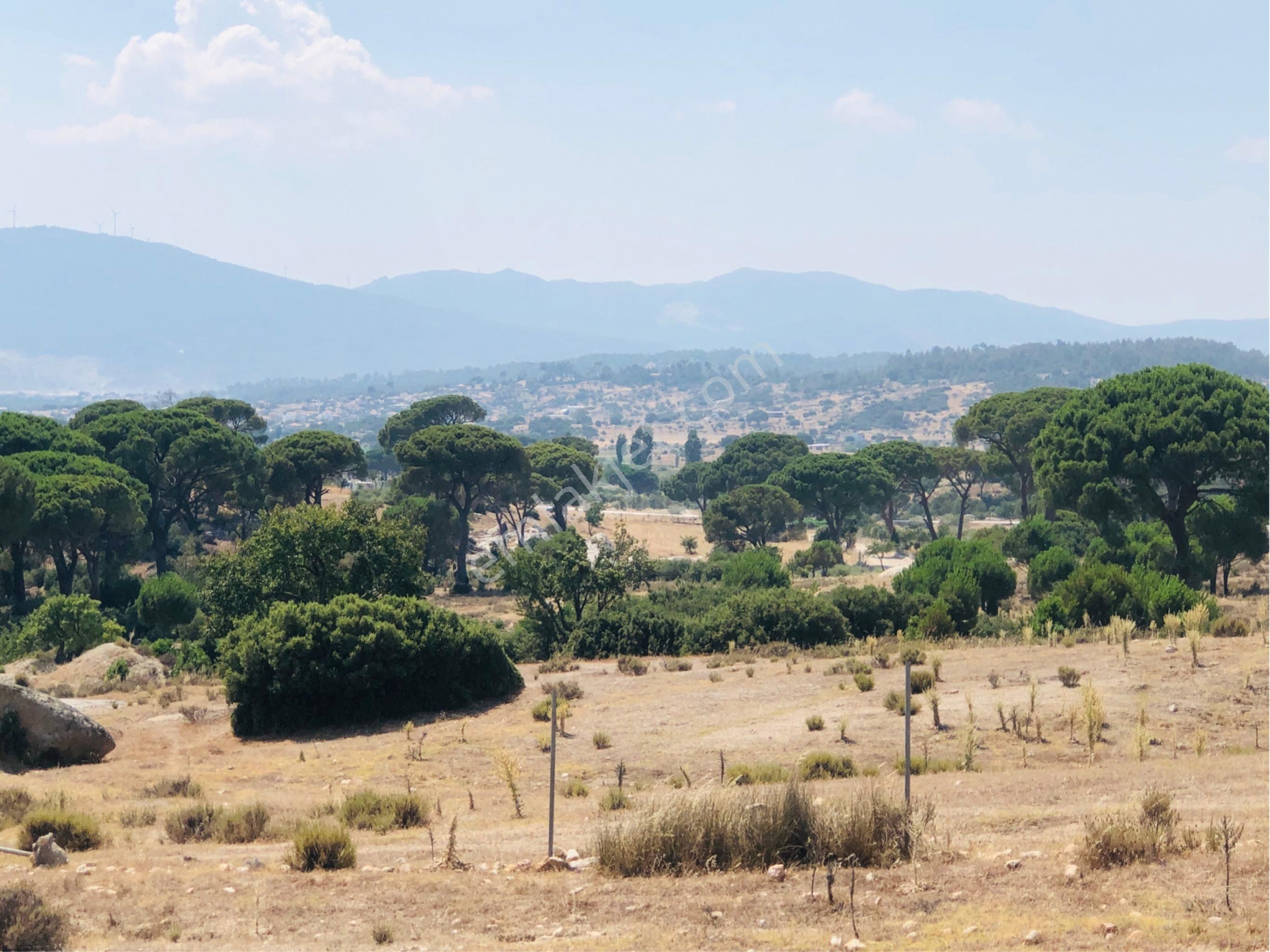 Muğla Milas Akkovanlık'da 9.108 M² Kaçmaz Kupon Tarla !!!! - Görsel 22