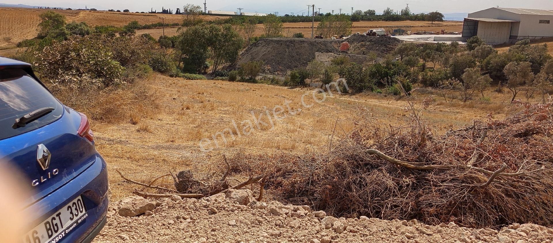 Karacabey Muratlı Mah Satılık 4.500 Mt2 Tarla