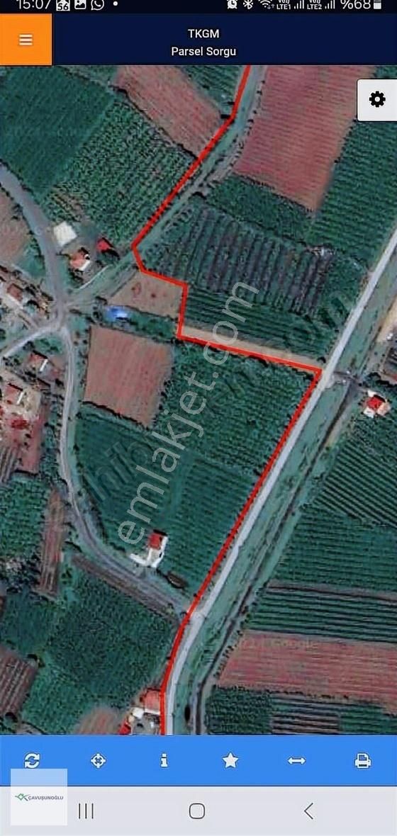 Acil Satılık Fiyat Düştü Köy Sınırı İçinde Fındık Bahçesi - Görsel 5