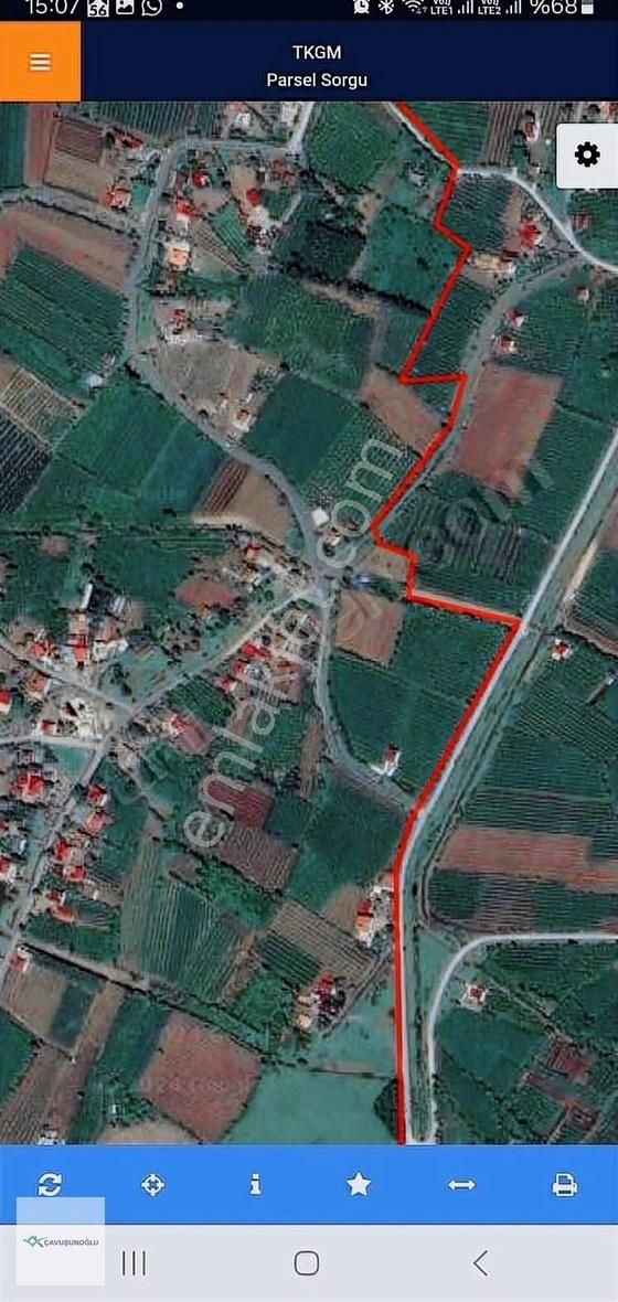 Acil Satılık Fiyat Düştü Köy Sınırı İçinde Fındık Bahçesi