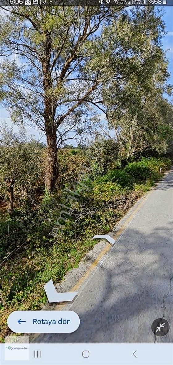 Acil Satılık Fiyat Düştü Köy Sınırı İçinde Fındık Bahçesi - Görsel 3