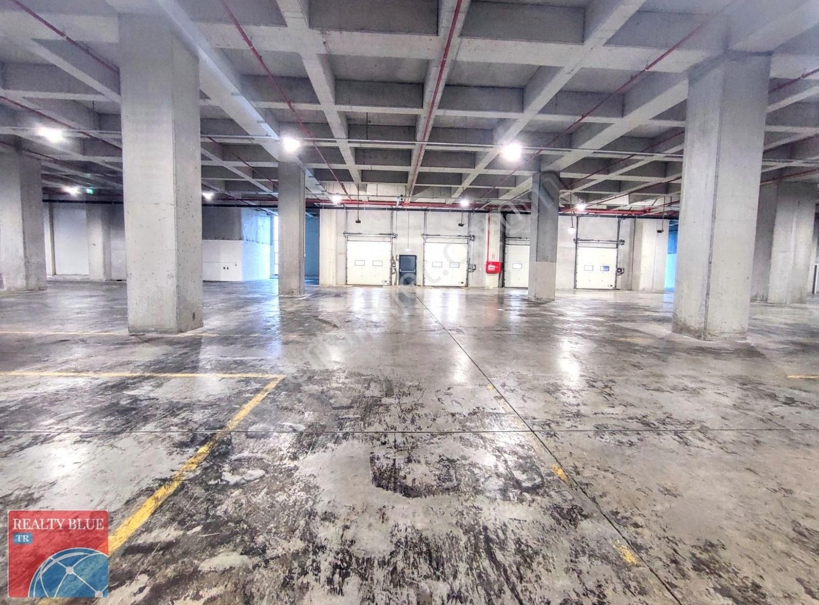 Gebze De 12000 M2 Boş 8 Rampalı Sipringli Kiralık Depo - Görsel 4