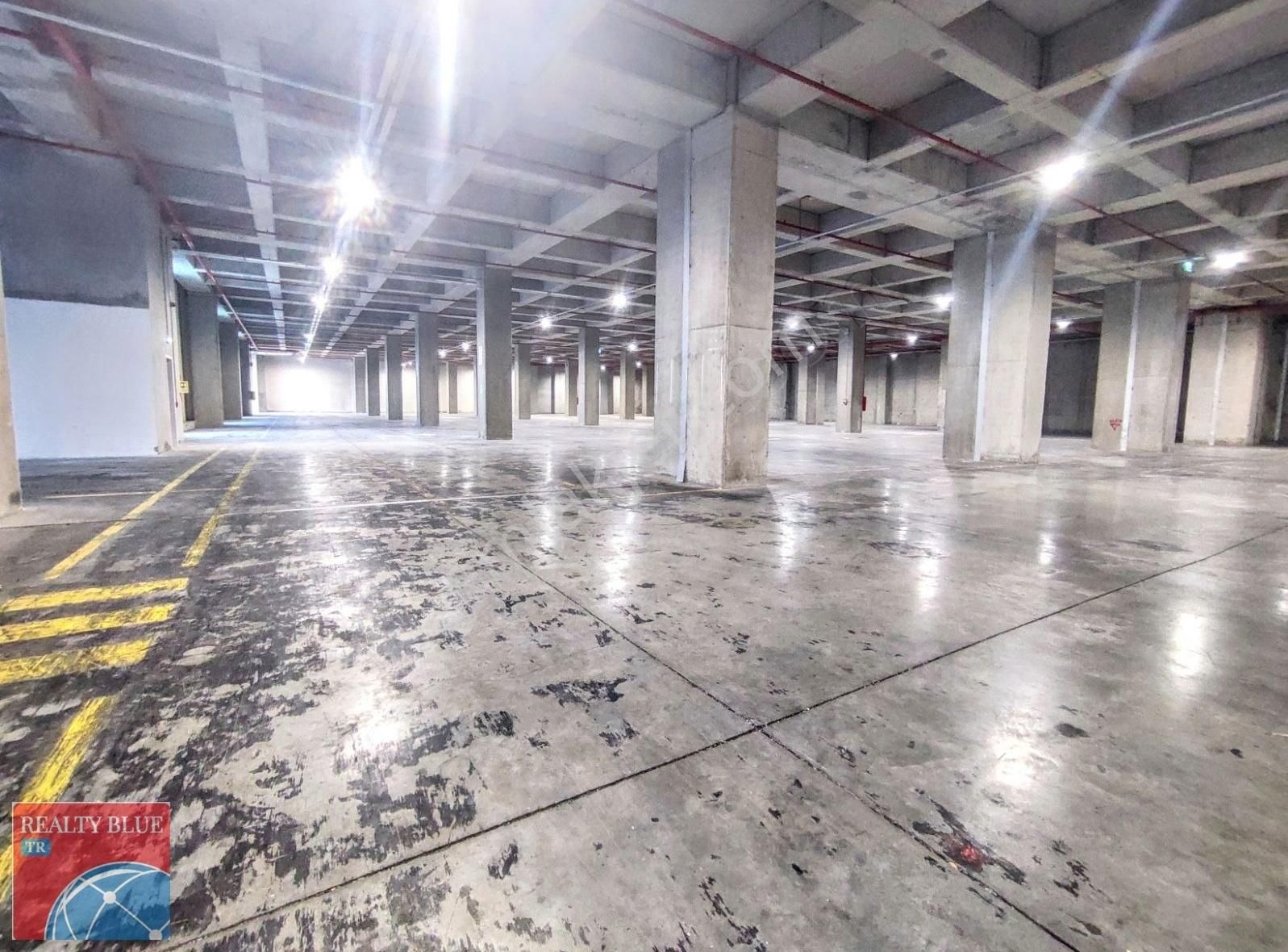 Gebze De 12000 M2 Boş 8 Rampalı Sipringli Kiralık Depo - Görsel 13
