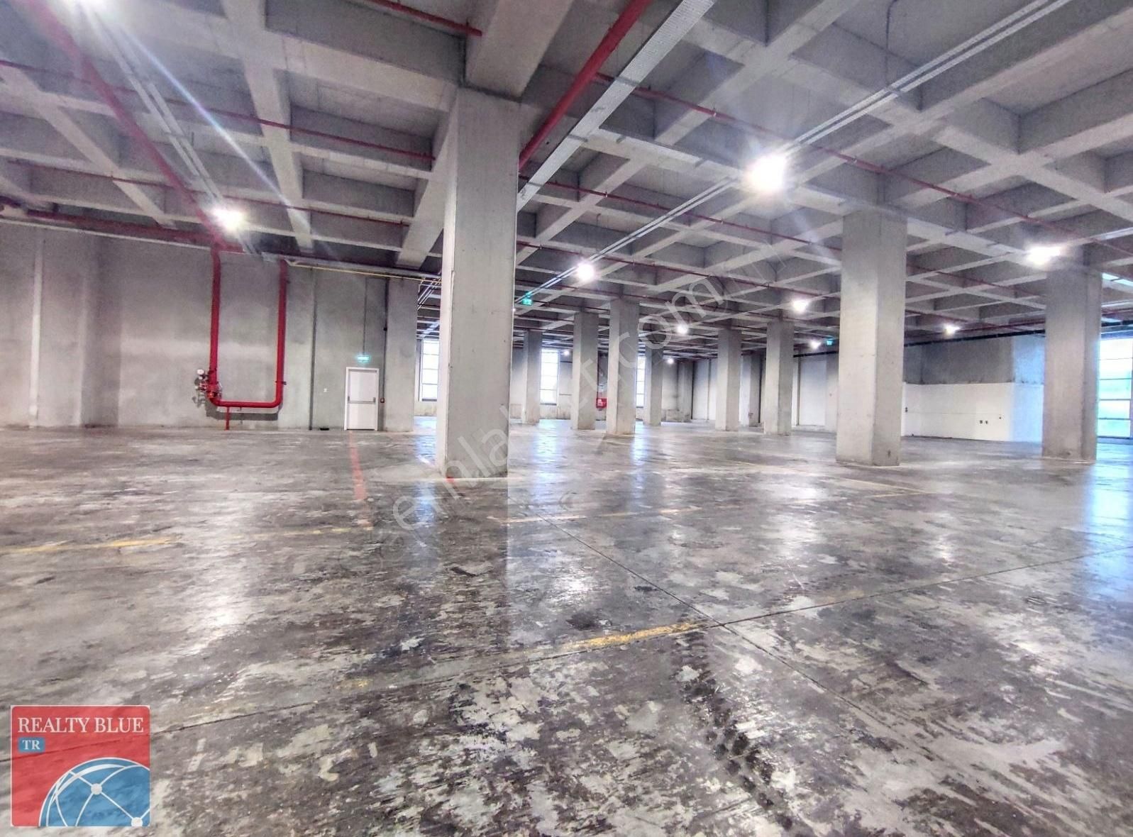 Gebze De 12000 M2 Boş 8 Rampalı Sipringli Kiralık Depo - Görsel 9