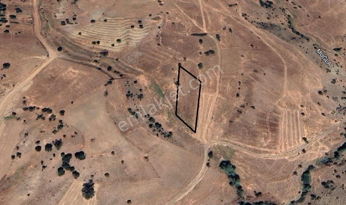 Goldhouse Dan Satılık Müstakil Tapulu Tarla 2.754 M2 - Görsel 3