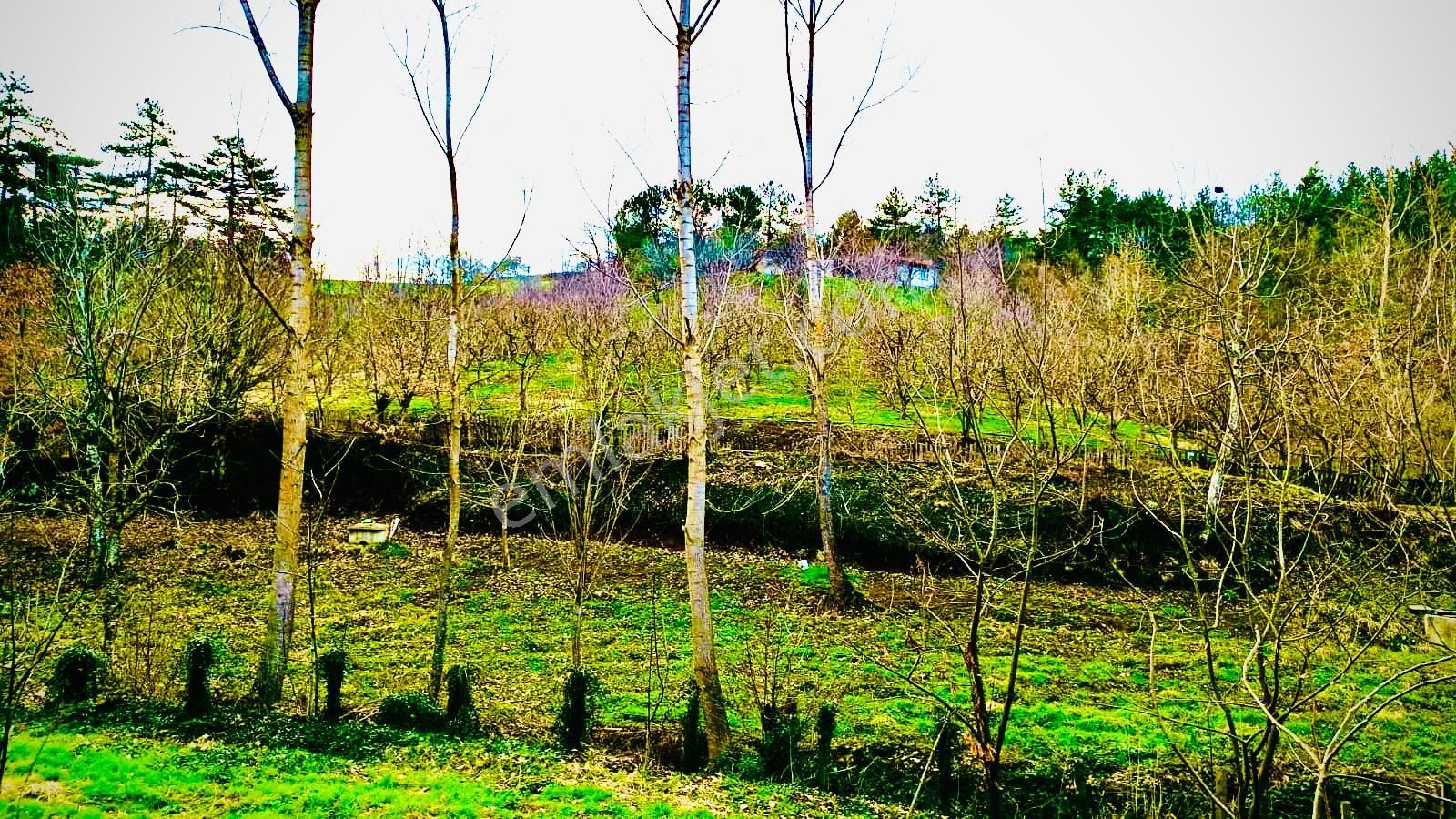 Turyaptan Çanakkale Çan Eskiyayla Köyünde Satılık Tarla