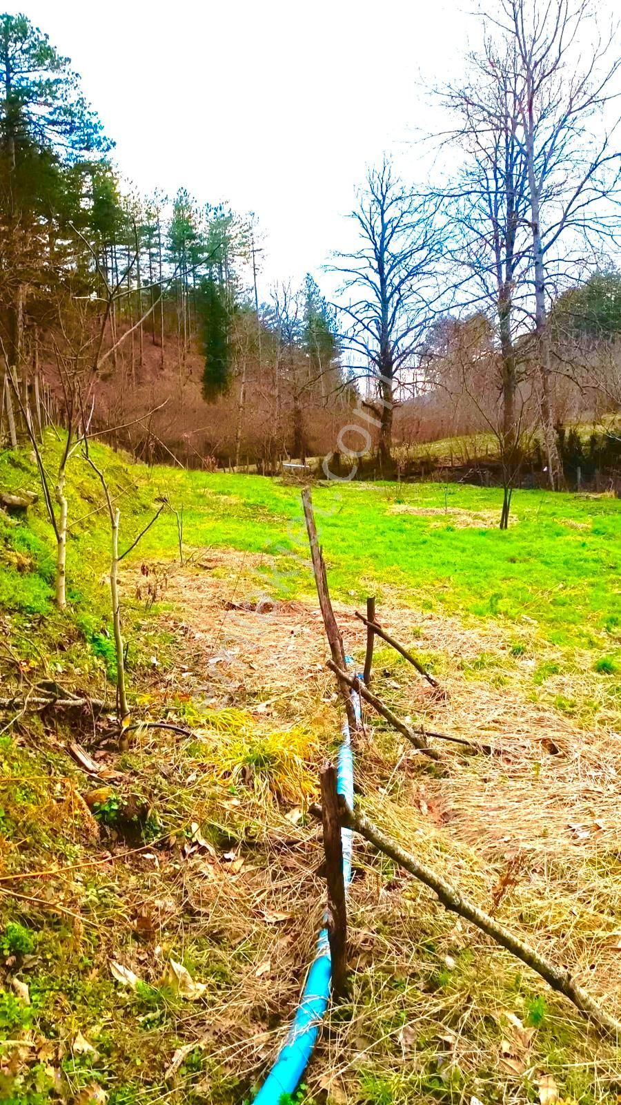 Turyaptan Çanakkale Çan Eskiyayla Köyünde Satılık Tarla - Görsel 19