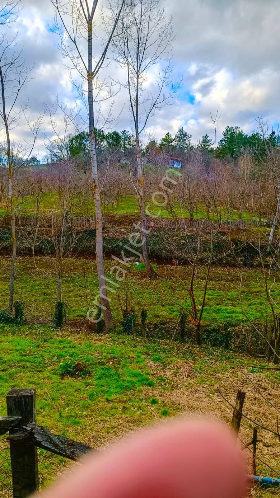 Turyaptan Çanakkale Çan Eskiyayla Köyünde Satılık Tarla - Görsel 9