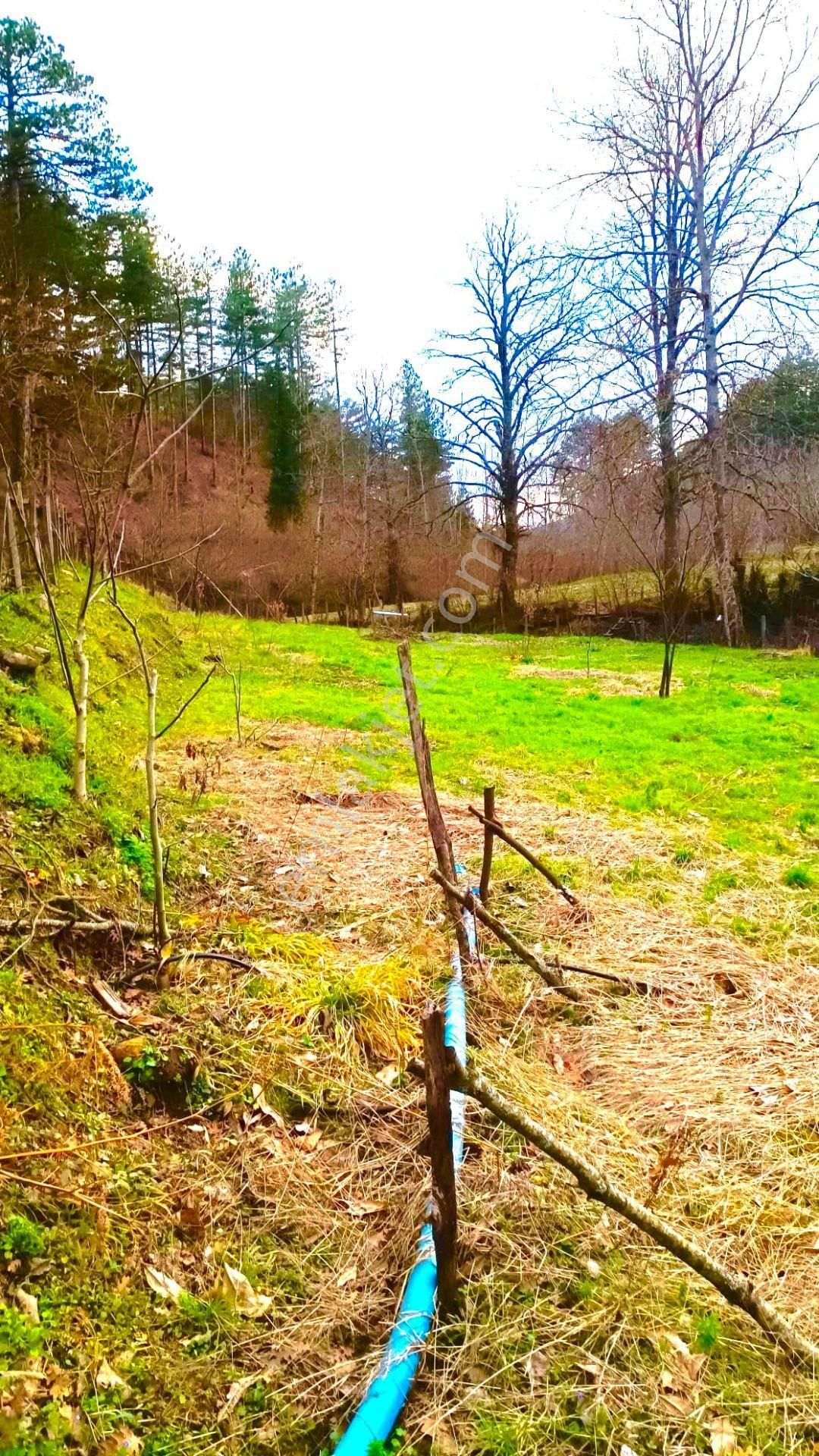Turyaptan Çanakkale Çan Eskiyayla Köyünde Satılık Tarla - Görsel 10