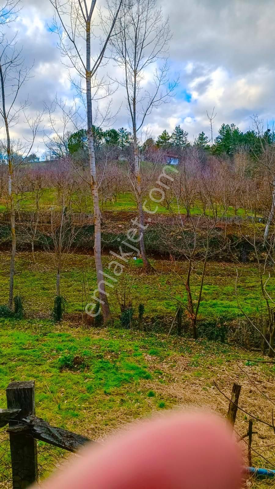 Turyaptan Çanakkale Çan Eskiyayla Köyünde Satılık Tarla - Görsel 23