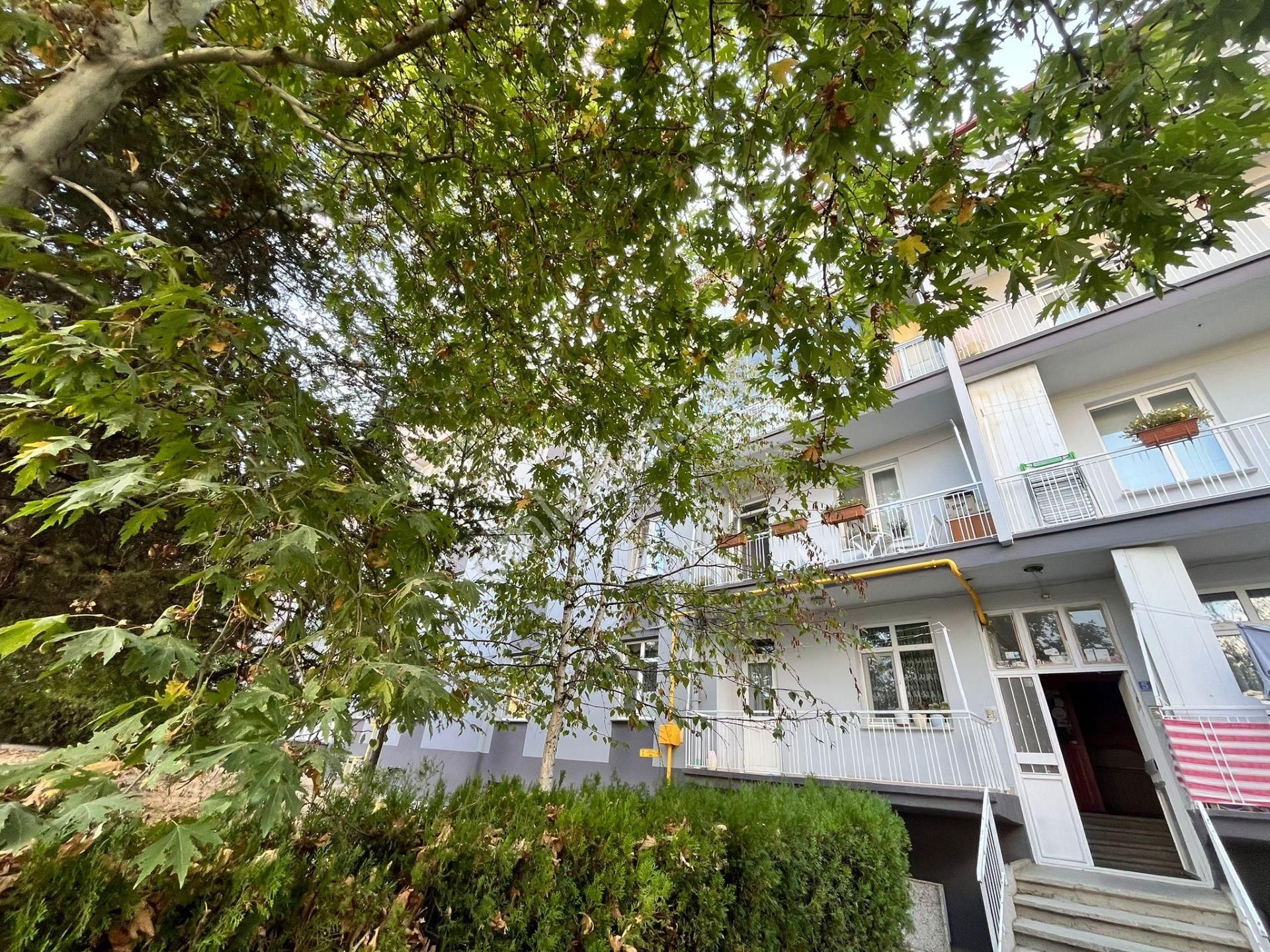 Seydişehirde Fırsat Daire - 2+1 K. Mutfaklı - Müstakil Tadında - Açık Otoparklı