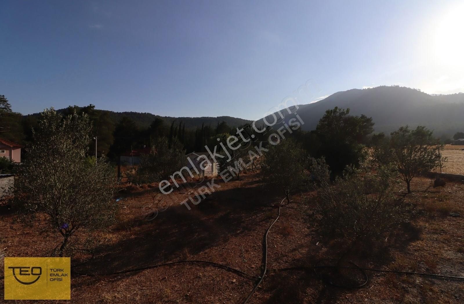 Antalya Bayatbademleri'nde Panoramik Orman Manzaralı Müstakil Ev - Görsel 8