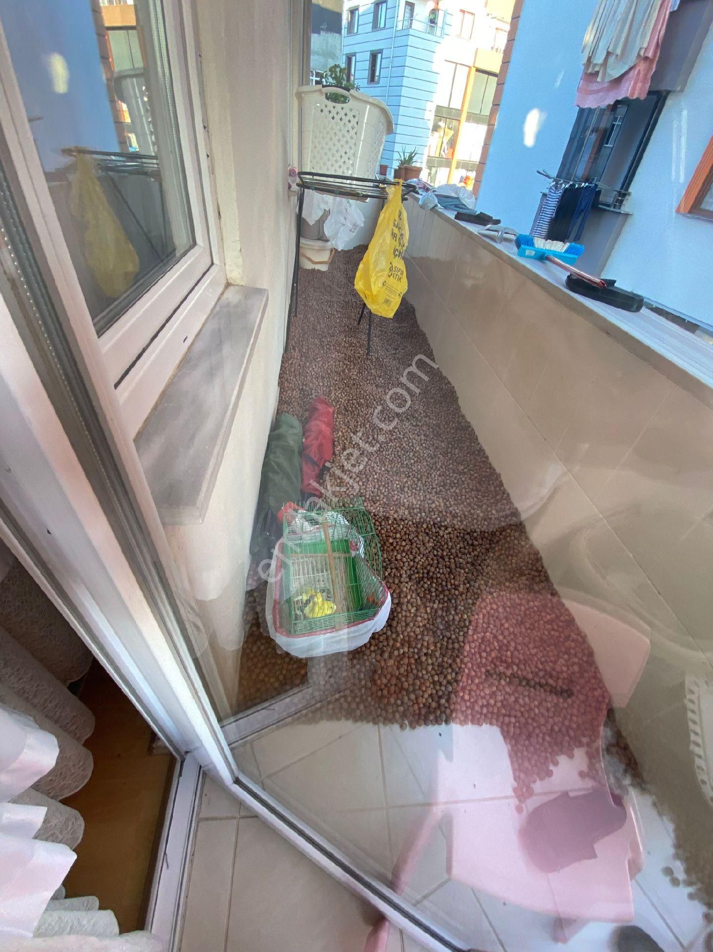 Golden Key Gayrimenkul'den Satılık Madrafsız Daire - Görsel 21