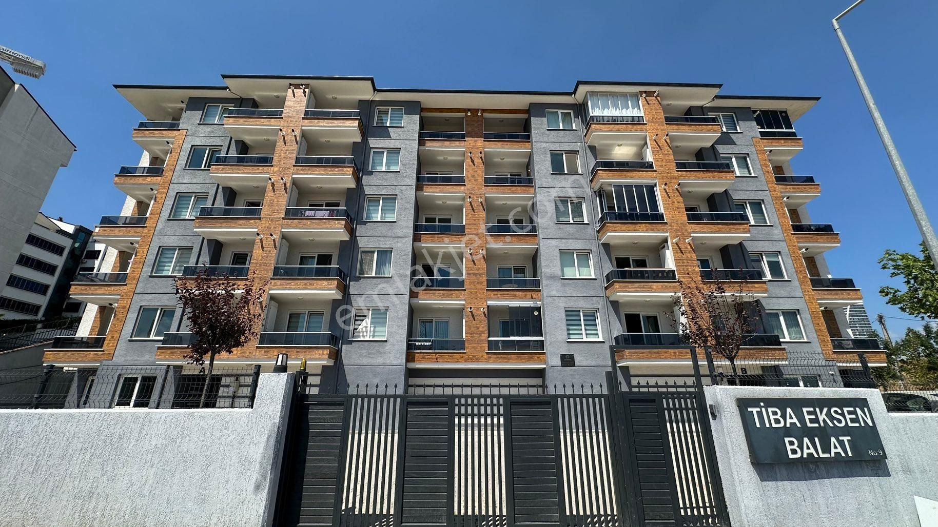 Balat | Tiba Eksen Kiralık 1+1 Yeni Boyalı Ara Kat Daire