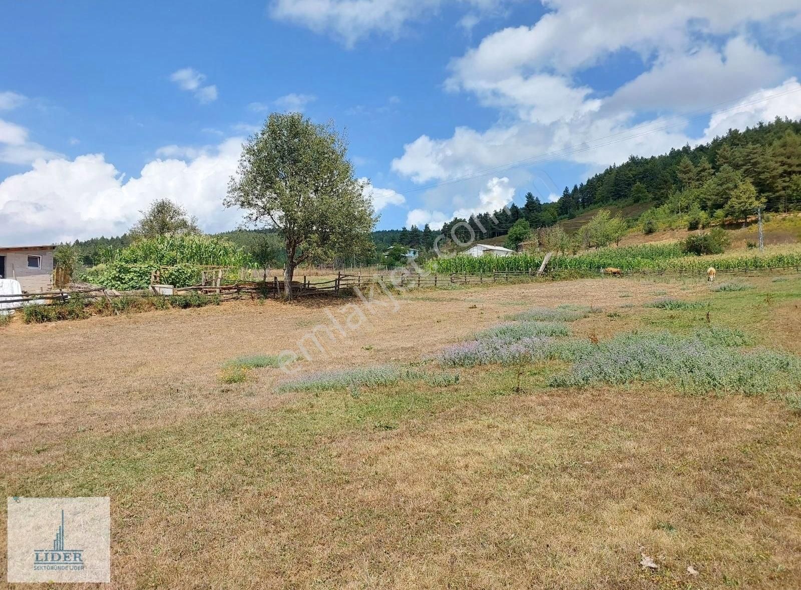 Bursa İznik Elmalı Mahallesinde 701m2 Doğa İle İçiçe İmarlı Arsa - Görsel 6