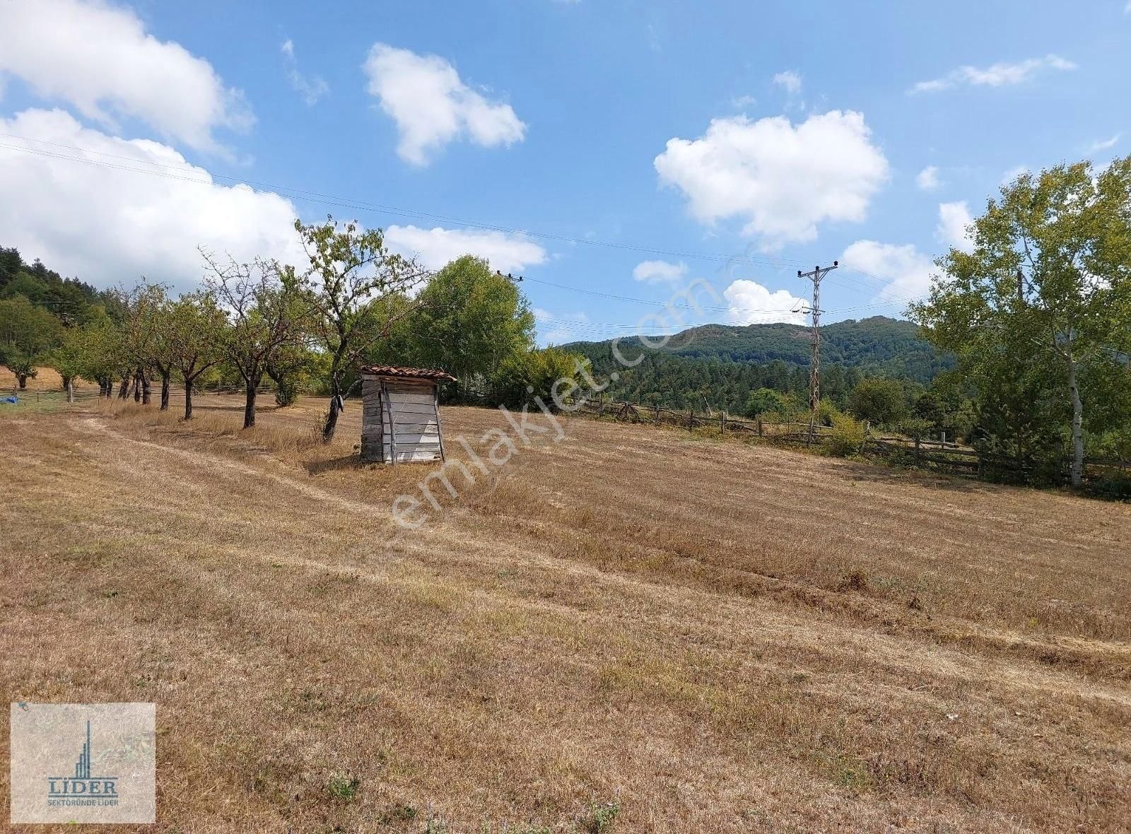 Bursa İznik Elmalı Mahallesinde 701m2 Doğa İle İçiçe İmarlı Arsa - Görsel 3