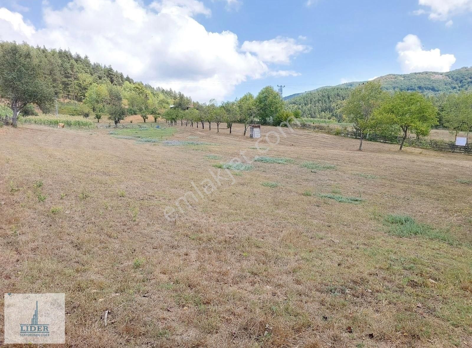 Bursa İznik Elmalı Mahallesinde 701m2 Doğa İle İçiçe İmarlı Arsa - Görsel 22