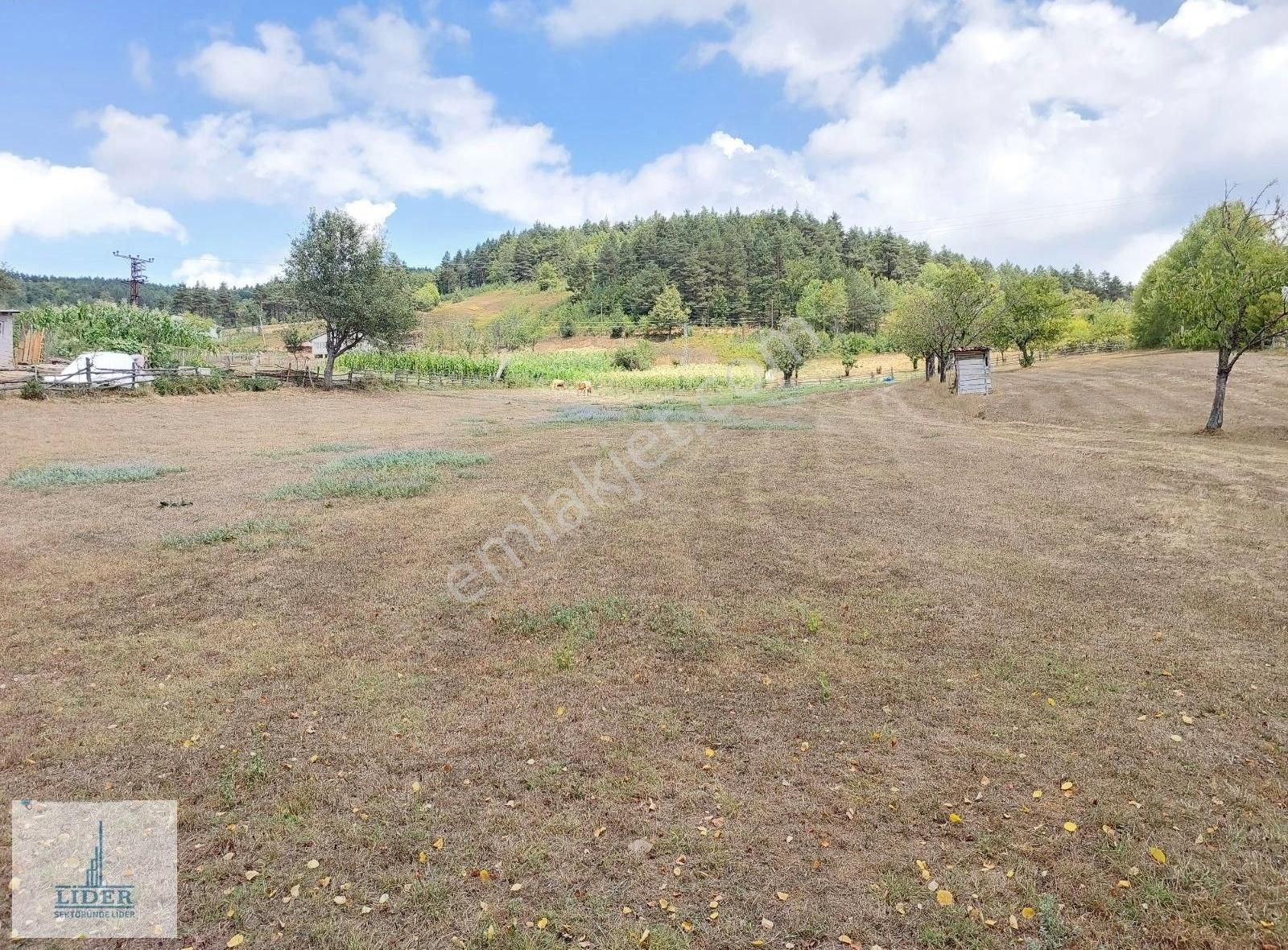 Bursa İznik Elmalı Mahallesinde 701m2 Doğa İle İçiçe İmarlı Arsa - Görsel 11