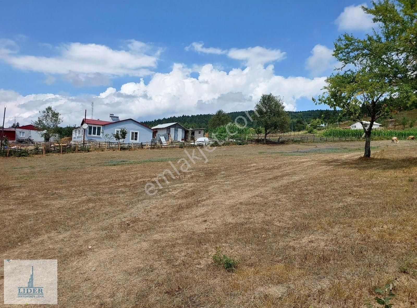 Bursa İznik Elmalı Mahallesinde 701m2 Doğa İle İçiçe İmarlı Arsa - Görsel 2