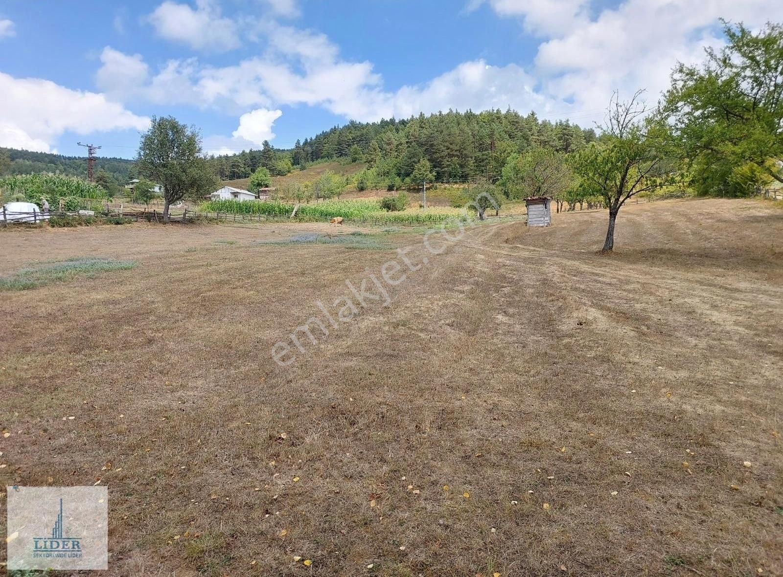 Bursa İznik Elmalı Mahallesinde 701m2 Doğa İle İçiçe İmarlı Arsa - Görsel 21